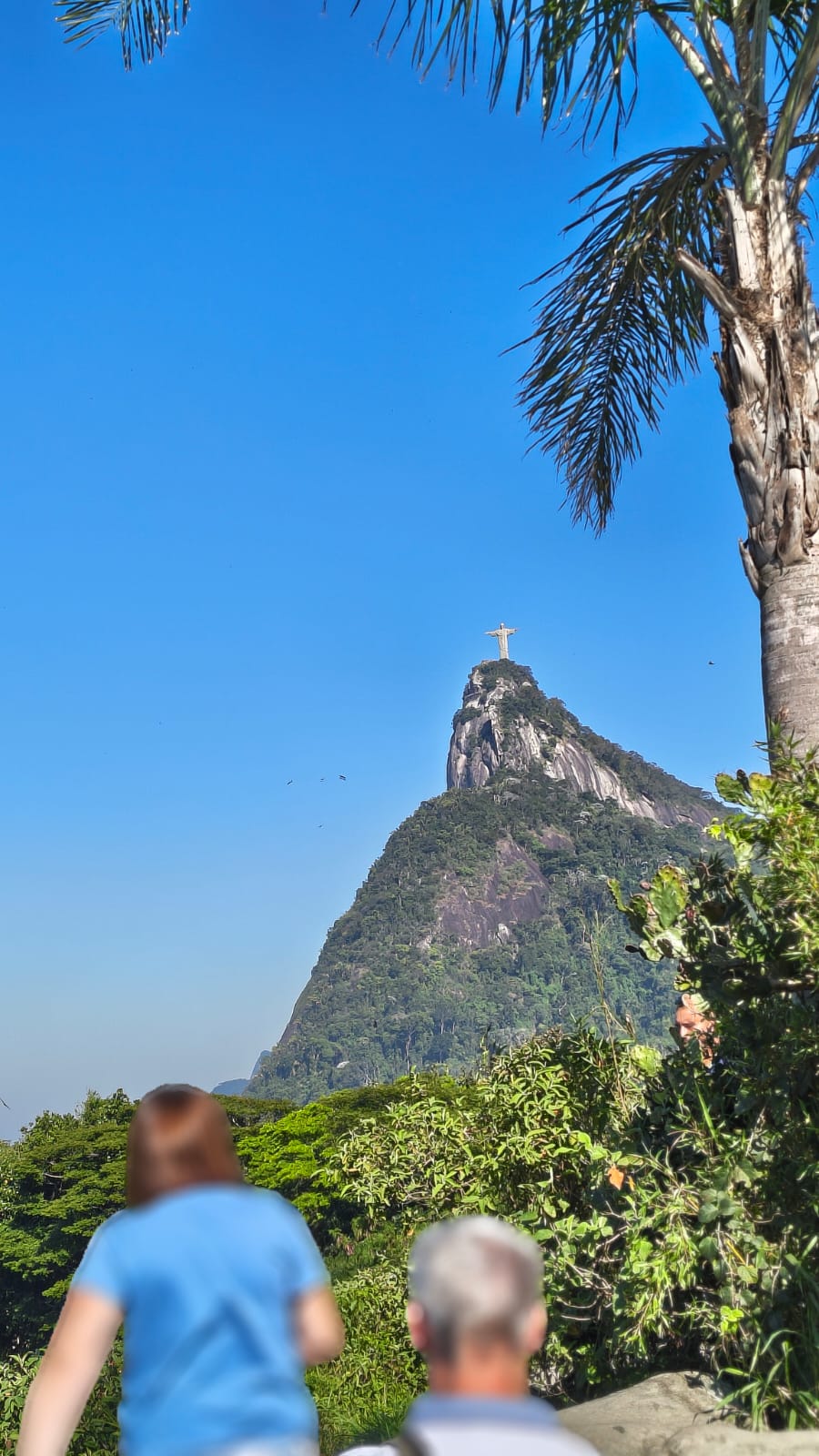 Cristo Redentor visto de mirante entre palmeiras